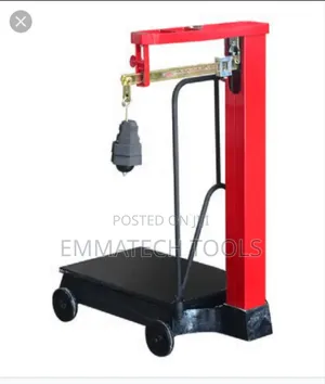300kg Motor King Scale