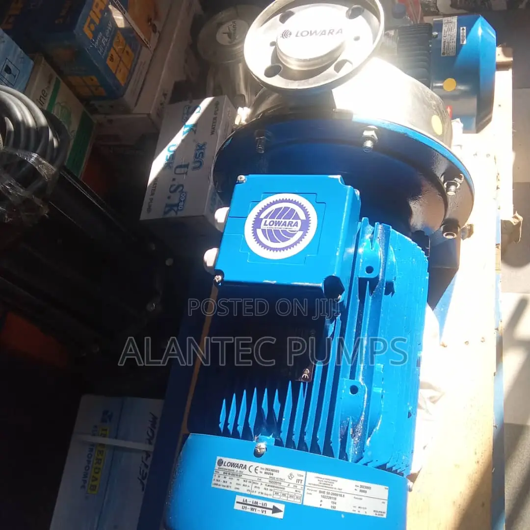 Lowara Surface Pump Stainless