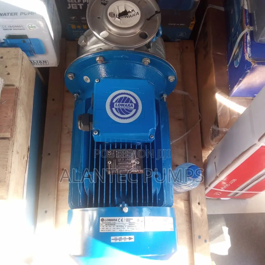 Lowara Surface Pump Stainless