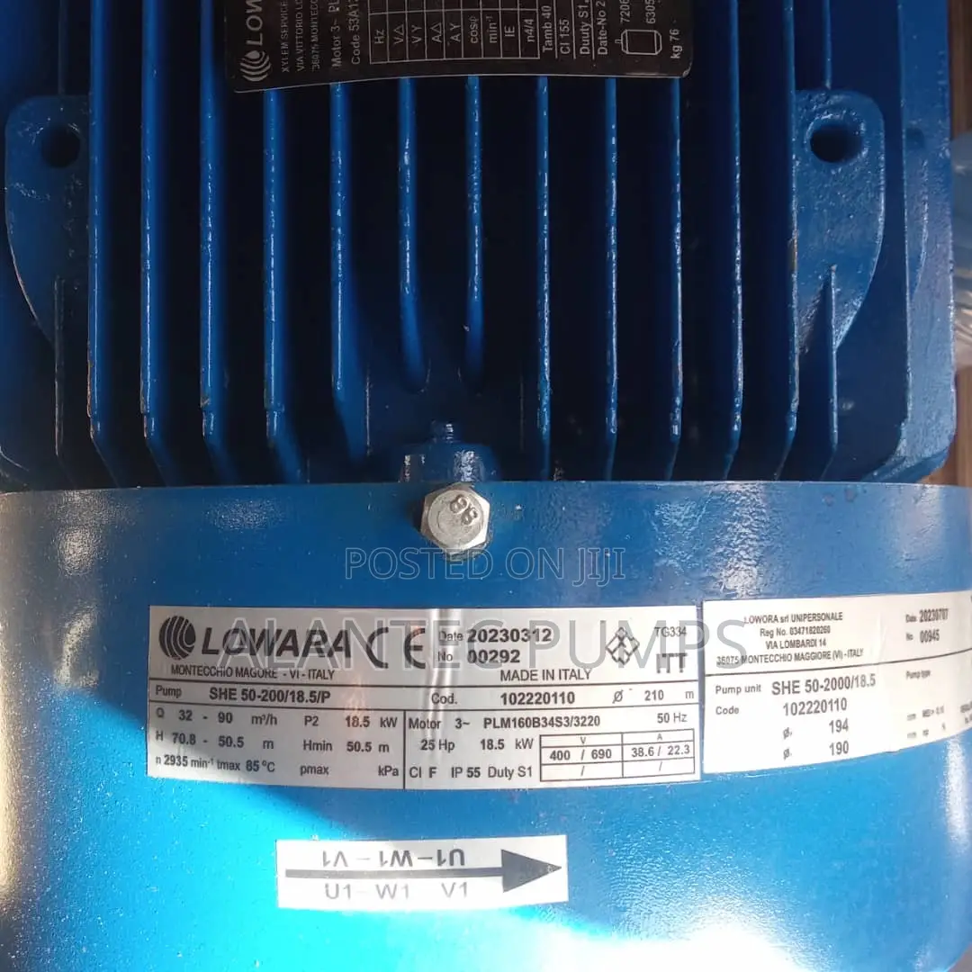Lowara Surface Pump Stainless