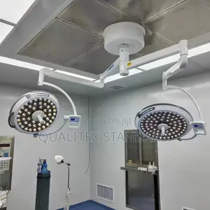Double Ceiling Mounted Theatre Light
