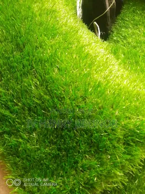 Standard Artificial Grass Carpet