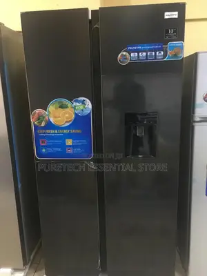 Original Polystar Inverter Side by Side With Water Dispenser