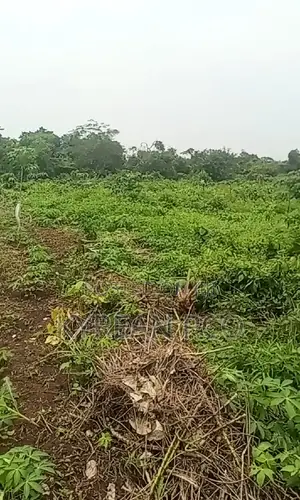 670sqm Plot At