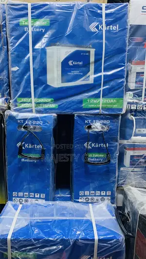 220A Kartel Indian Tubular Battery