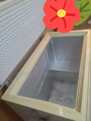 LG Chest Freezer 235litres