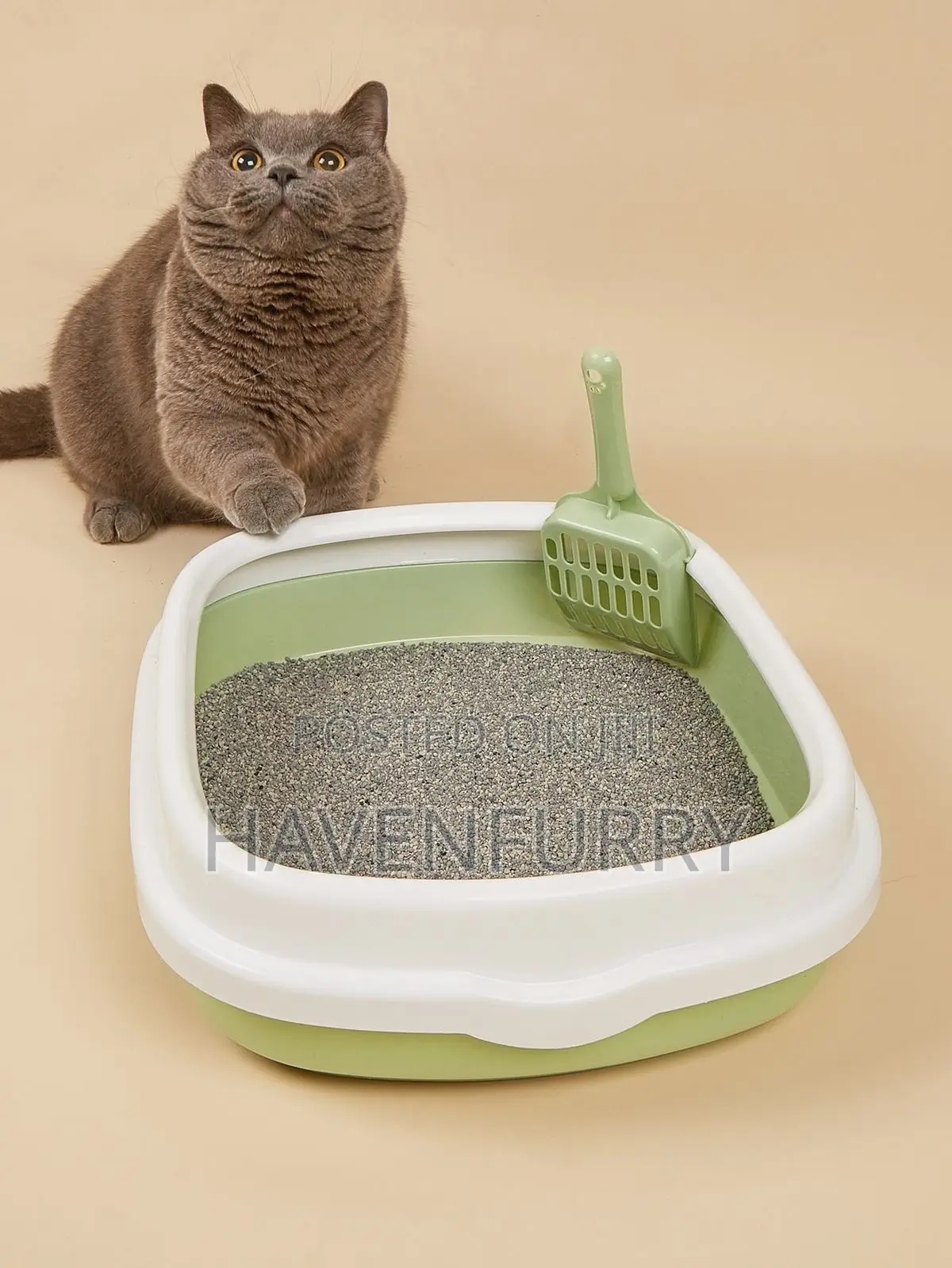 Cat Litter Box