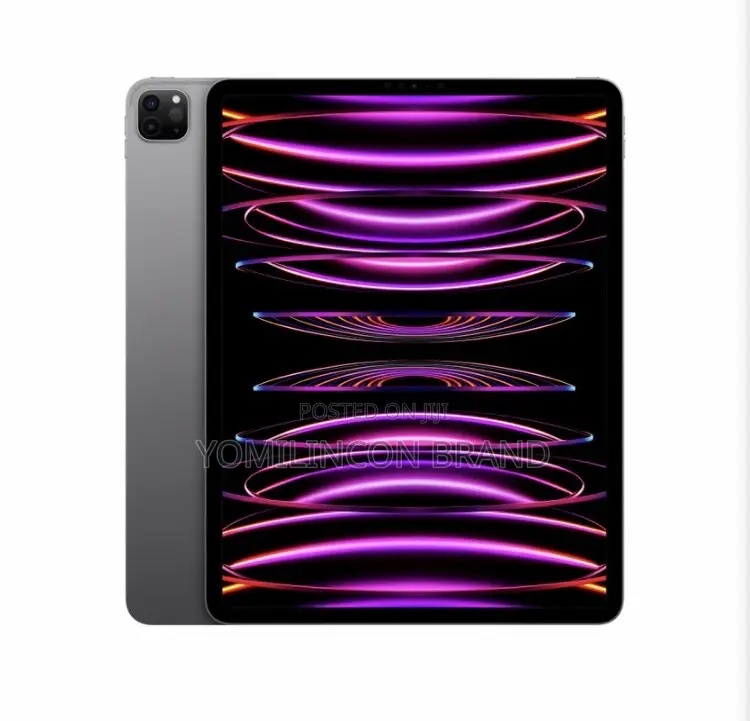 New Apple iPad Pro 256 GB Gray