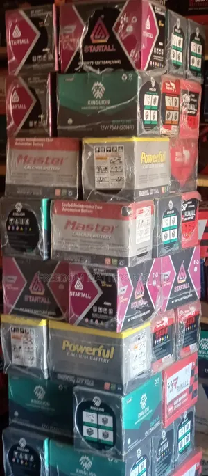 Original Master Car Battery
