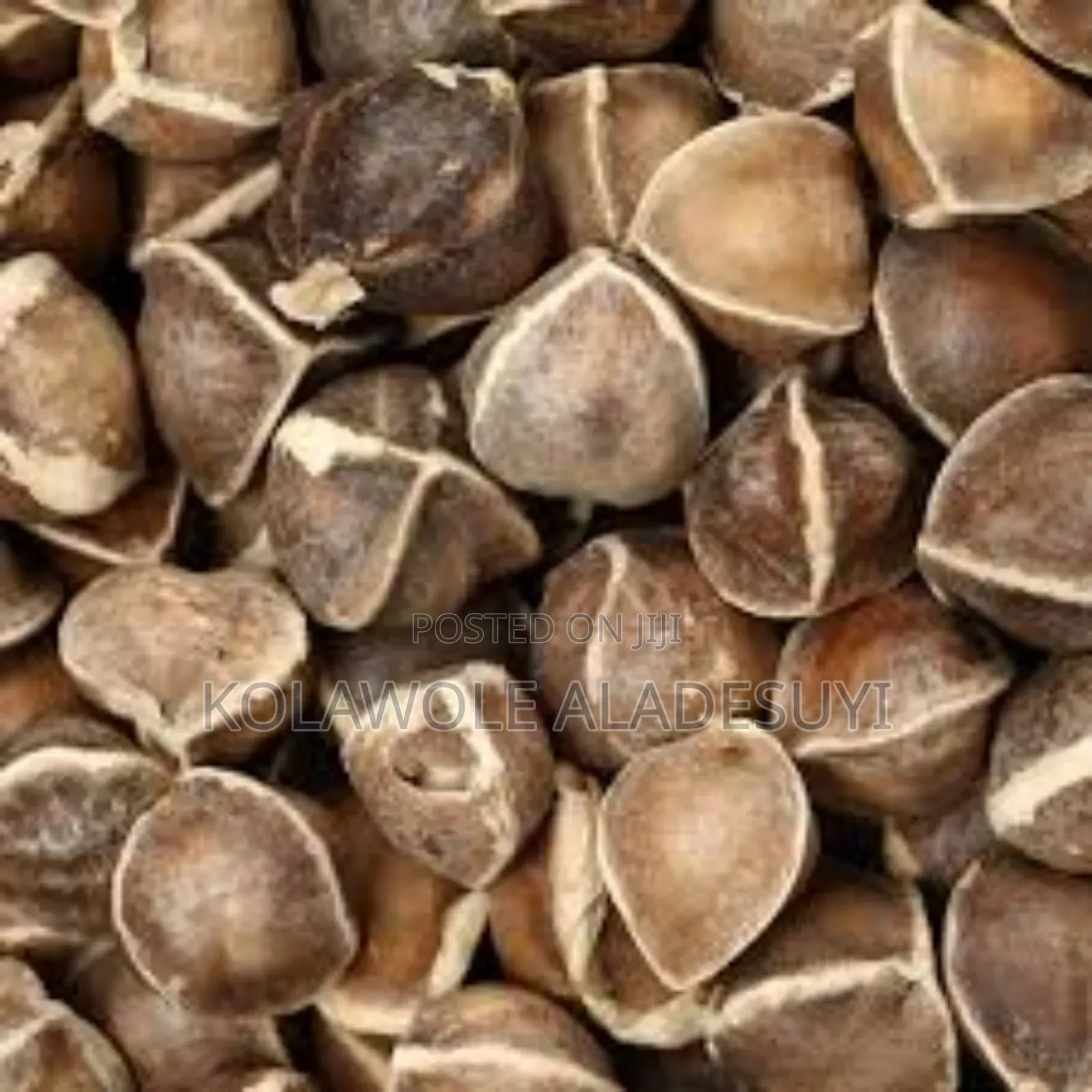 Moringa Seed 250g