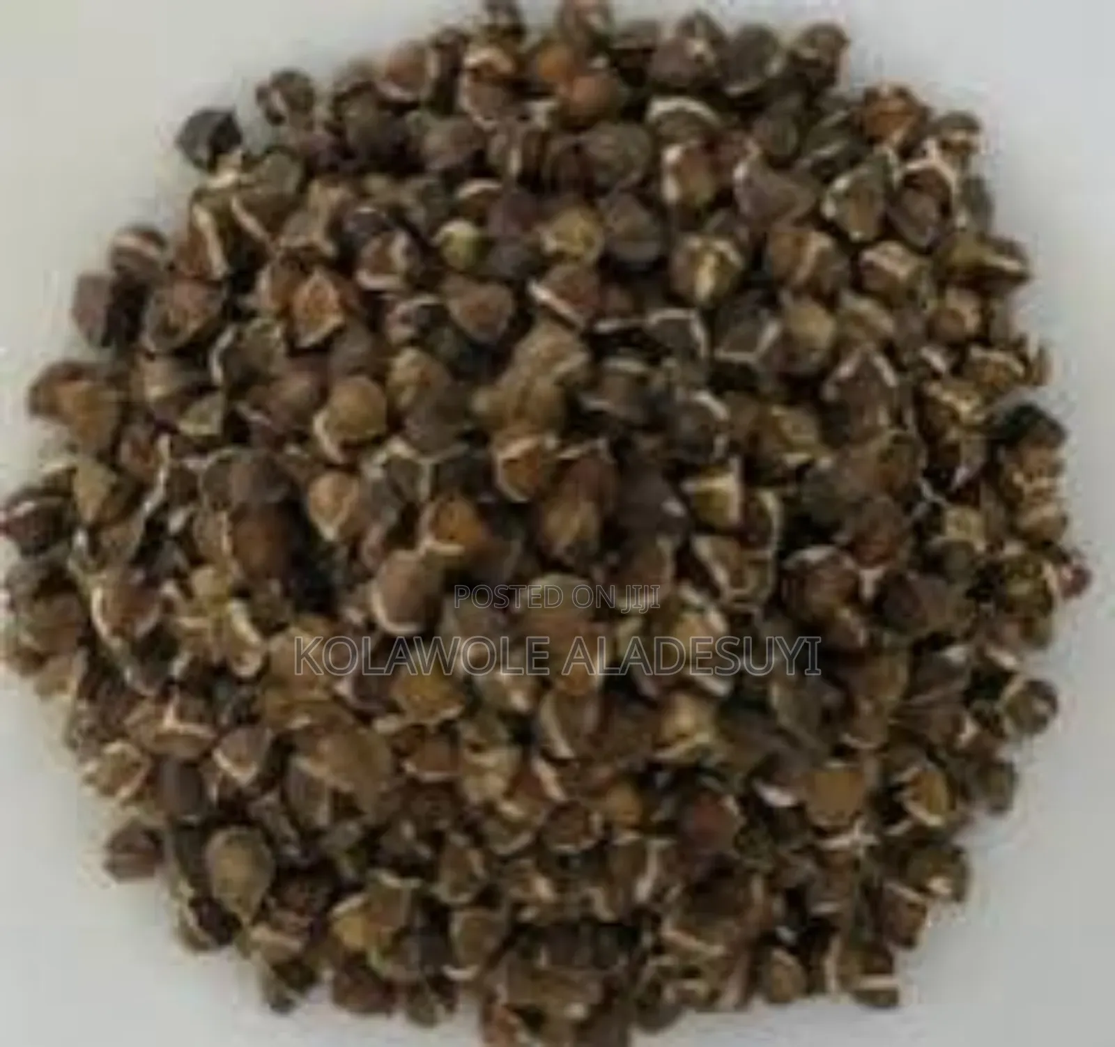 Moringa Seeds 1kg