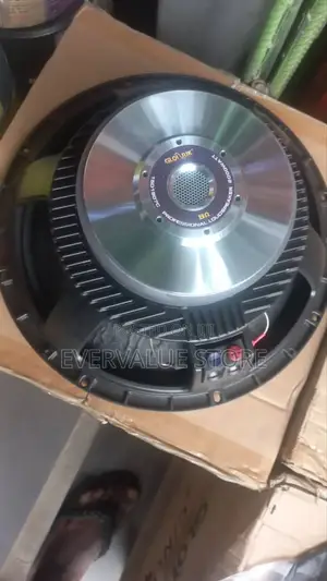 Professional Loud Speaker 2000 Watts