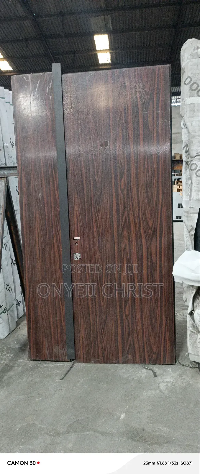 Lsareli Security Door