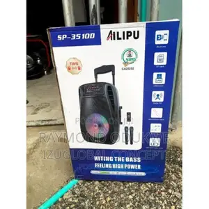 Big 15" Inches Rechargeable Wireless PA System With Mics