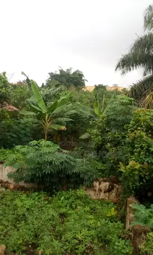 5 Acres of Land at Odo Ekiti State