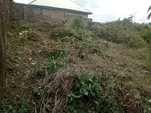 2 Standard Plots of Land for Sale