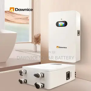 Dawnice 15kwh 48v 300ah Wall Mounted Lifepo4 Solar Battery