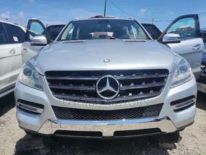 Mercedes-Benz M Class 2014 Silver