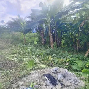 Land for Sale at Chomana Off Rukpokwu Eneka Rd Fed Light