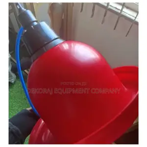 Efficient Bell Drinker, Point Of Lay Birds For Sales