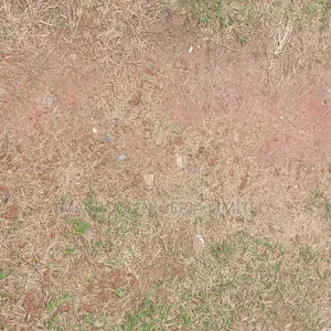 1,439sqm Bared Land Facing the Express for Sale