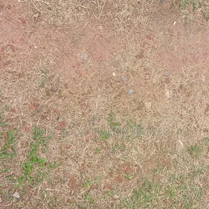 Banana Island - Ikoyi Non-Waterfront Plots for Sale