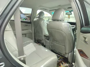 Lexus RX 2010 Gray