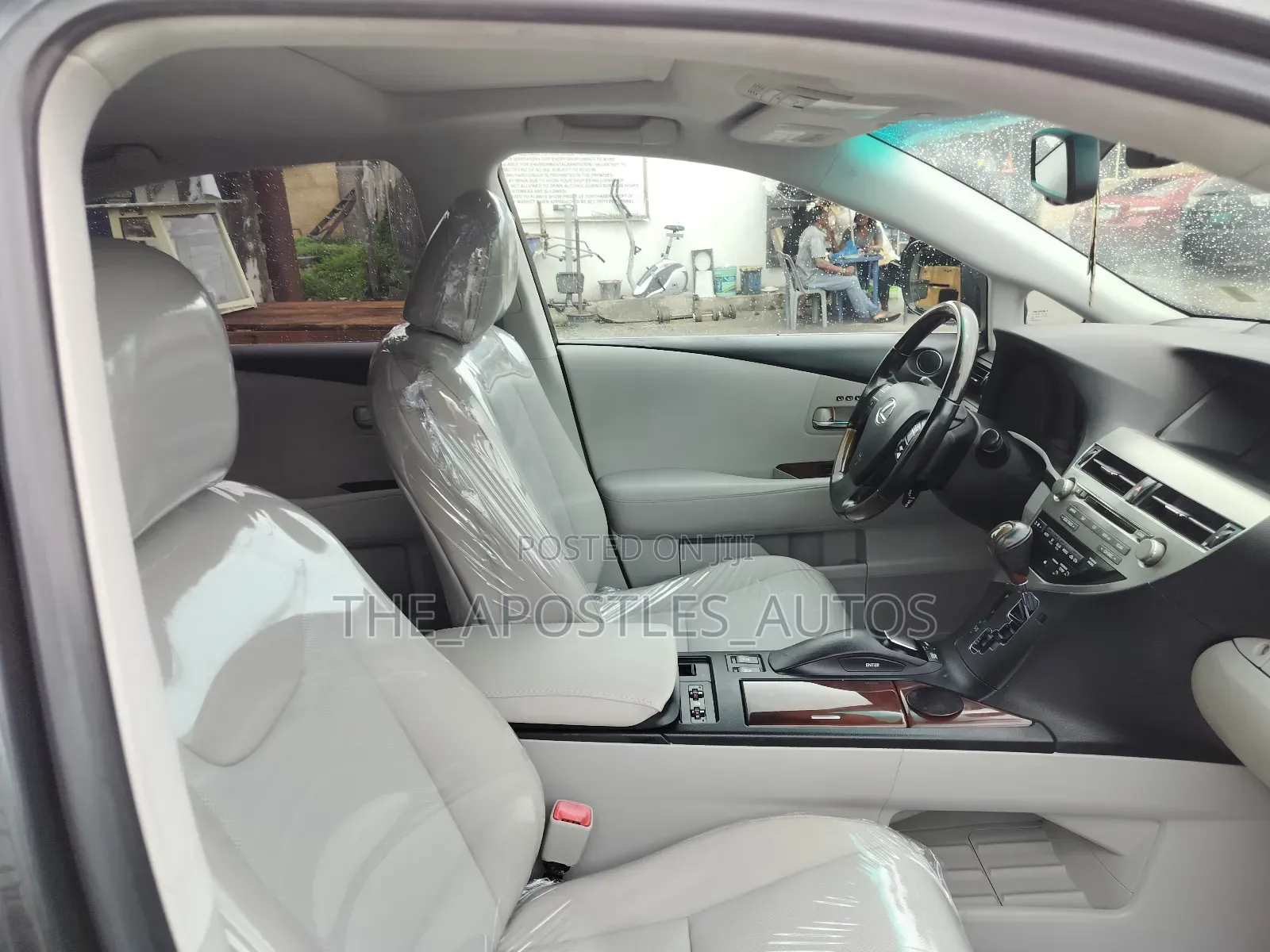 Lexus RX 2010 Gray
