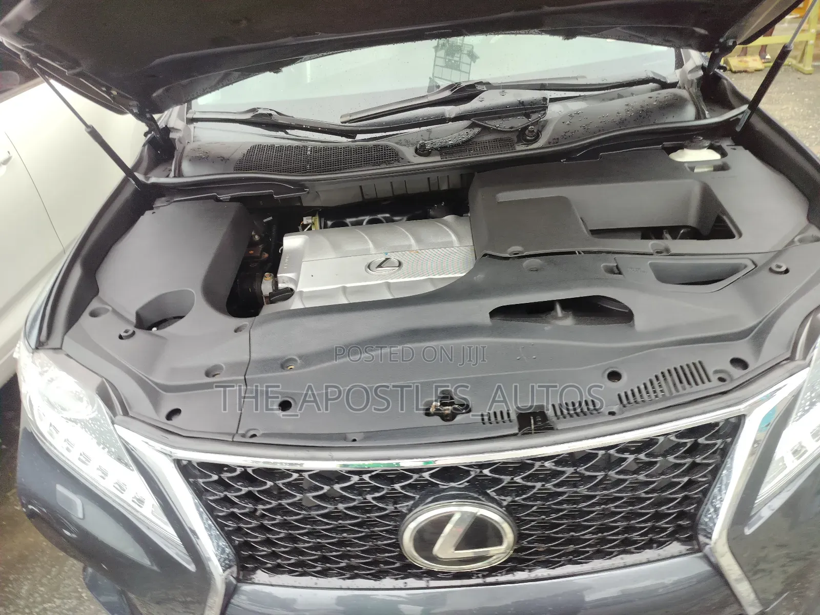 Lexus RX 2010 Gray
