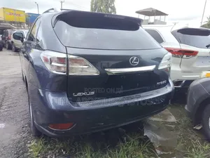 Lexus RX 2010 Gray