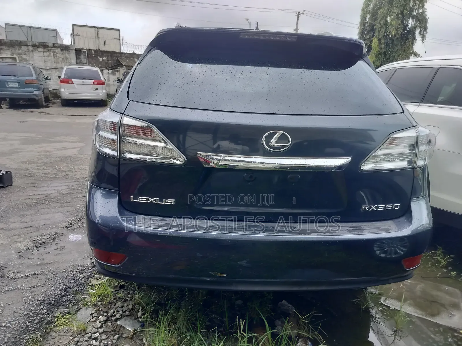 Lexus RX 2010 Gray