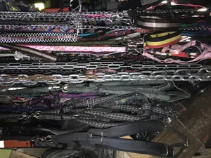 PET Leashes (Different Type)