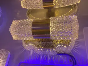 Mature Led Wall Bracket Light