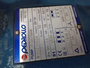 Pedrollo Surface Pump