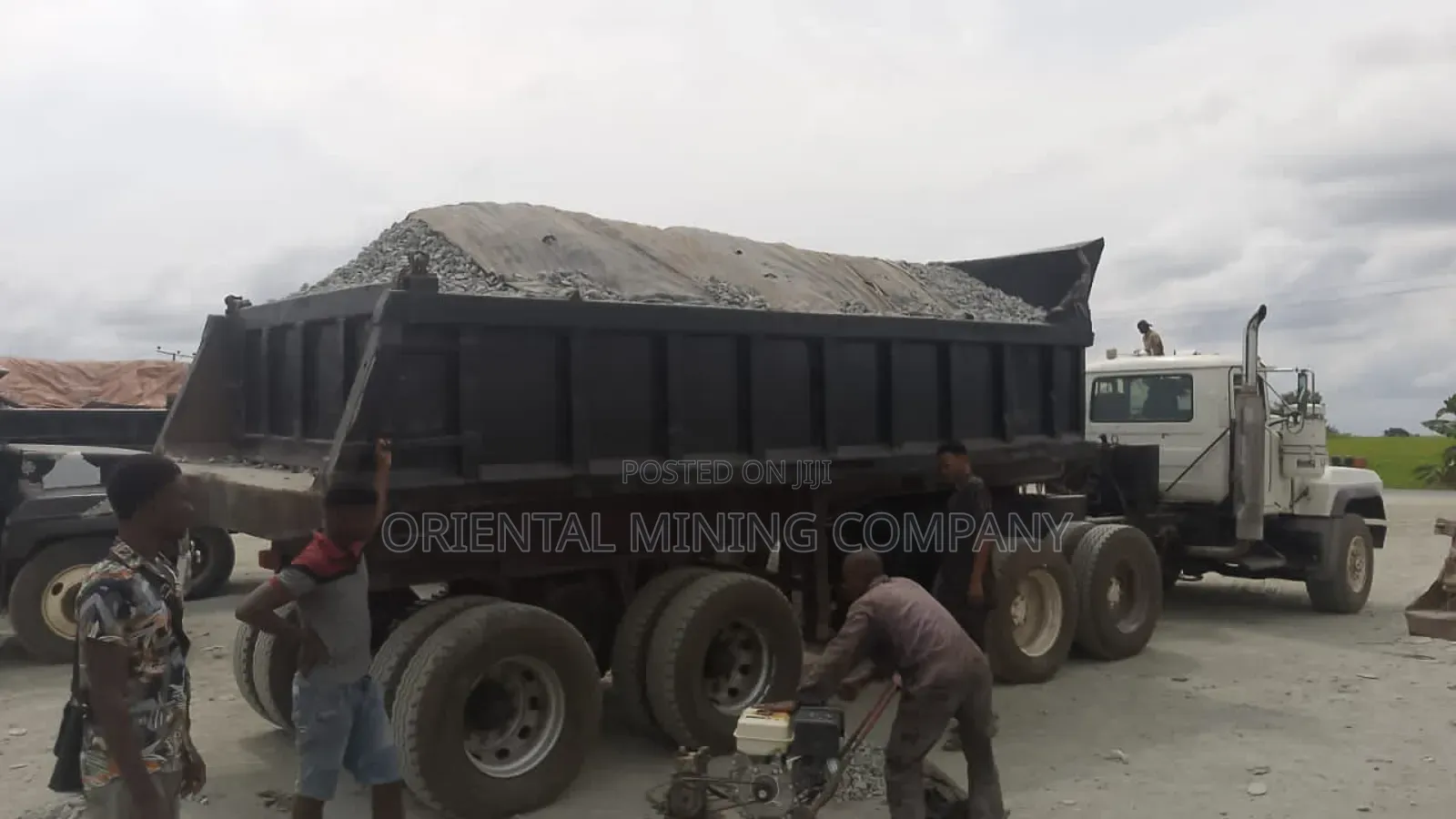 Payment on Delivery Iron Chippings