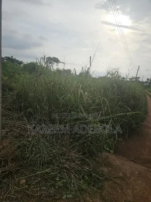 8.64 Hectares at Guzape Main Close to Abbatoir by Apo