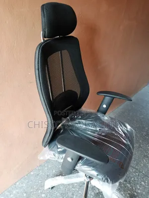 Ergonomic Chair