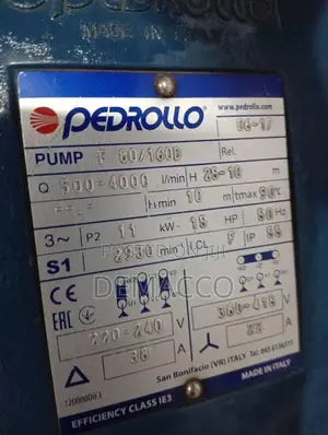 Pedrollo Surface Pump
