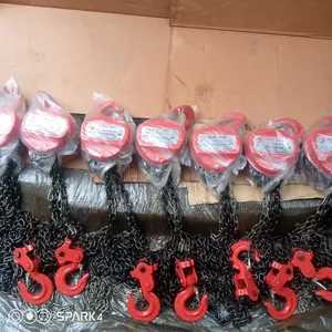 2 Ton Toyo Chain Block