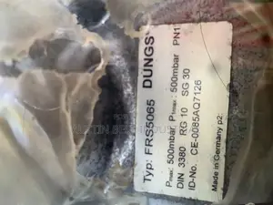Frs5065 Dungs Pressure Regulator Dn65