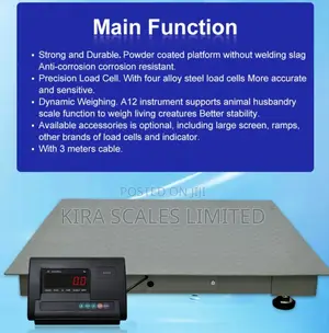 2 Tonnes Digital Platform Scale