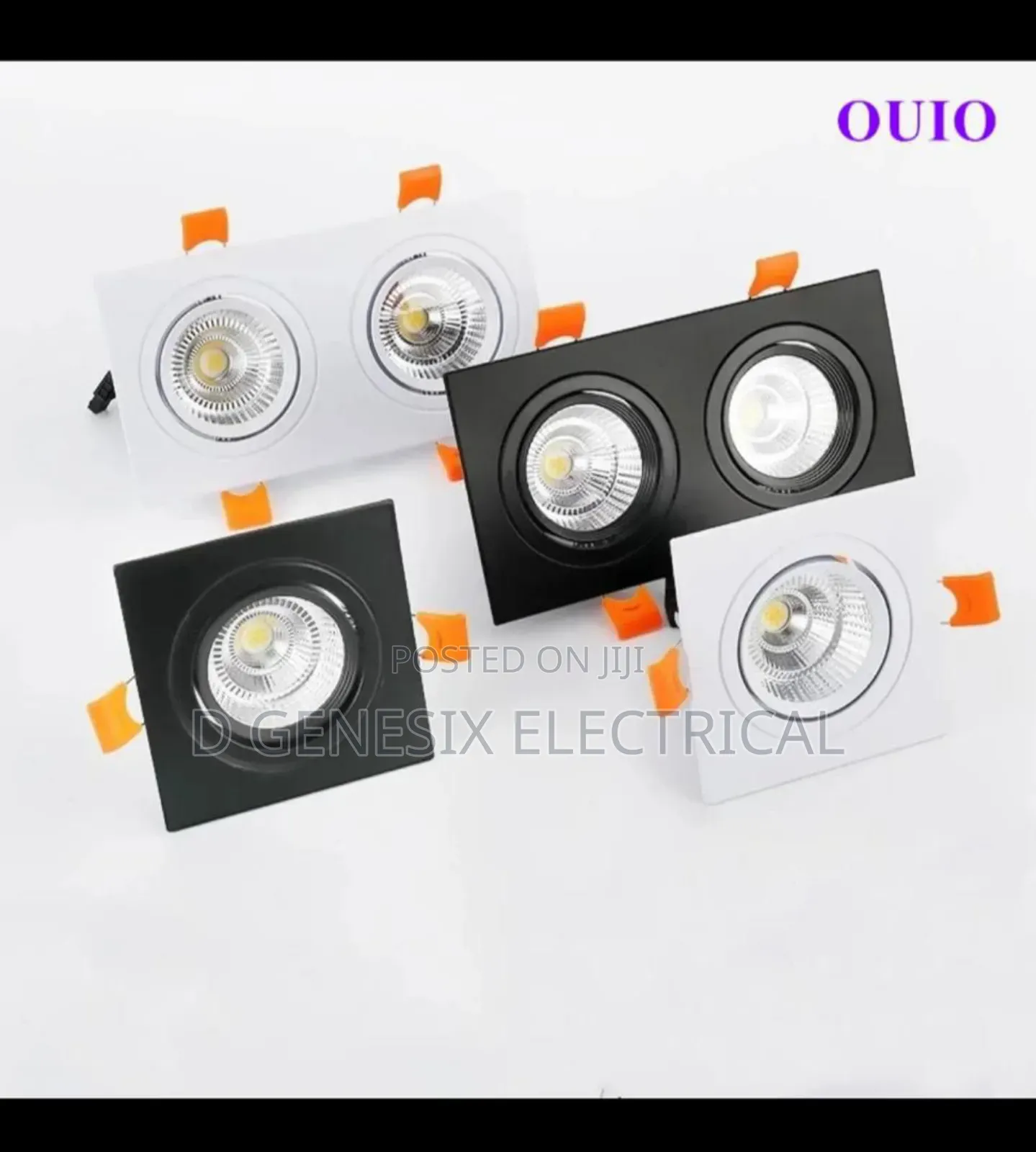2 in 1 Spot Light