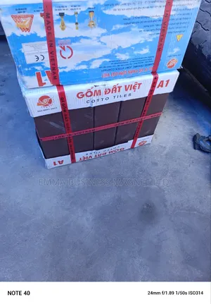 High Quality Vietnam Bricks Tiles
