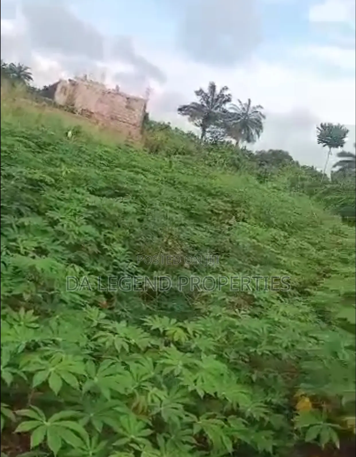 2 and Half Shareable Plot of Land for Sale in Owerri Land & Plots for