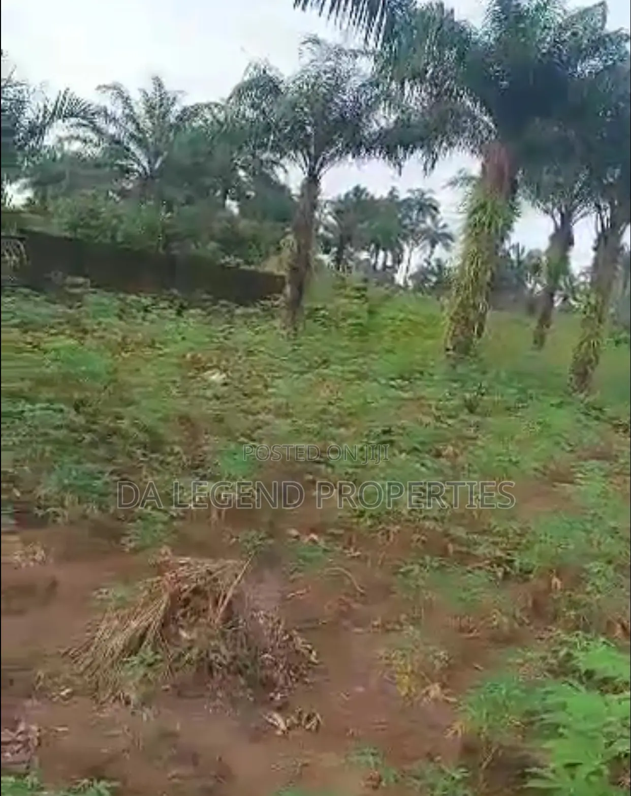 2 and Half Shareable Plot of Land for Sale in Owerri Land & Plots for