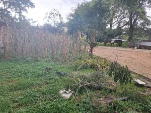 Wuse Zone 7 Commercial Unspecified Plot for Distress Sale