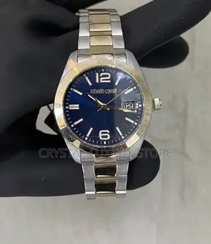 Roberto Cavalli Quality Luxury Men Chain Wristwatch