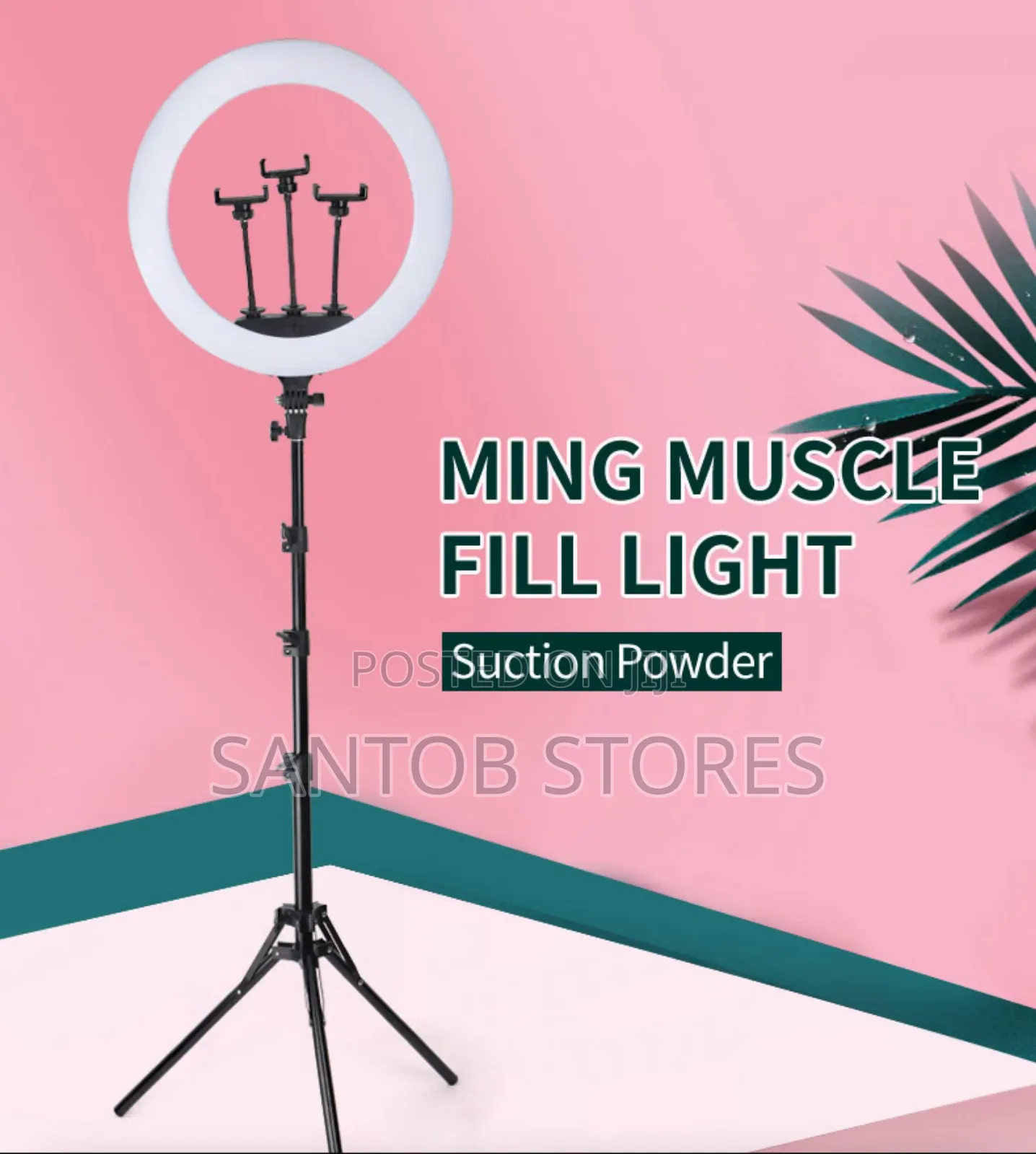 18 Inches Ringlight With 3 Phone Stand