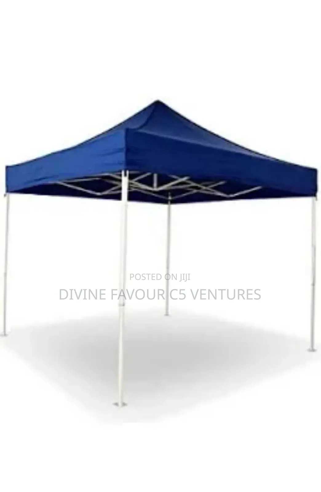Foldable Canopy ( Gazebo) 10 X 10