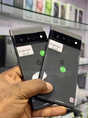 Google Pixel 6 Pro 256 GB Gray